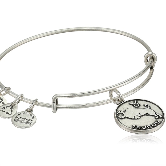Alex And Ani Taurus Zodiac Charm Silver Finish Bangle Bracelet - Picture 1 of 6